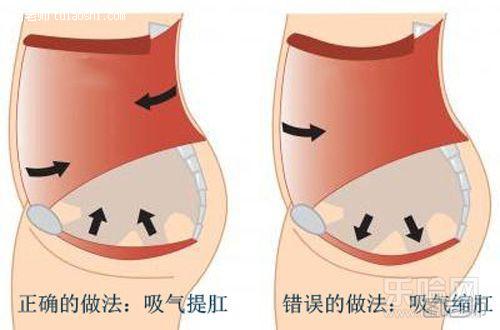 多做提肛运动