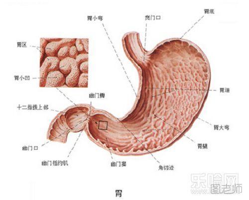 体内毒素多的表现