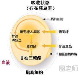 【图文】快速减肥方法小妙招 排油减肥 