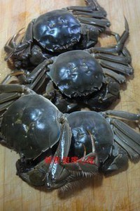 【图】蒸老师|蒸食谱做好吃_图河蟹|tula河蟹每周怎么搭配的该图片