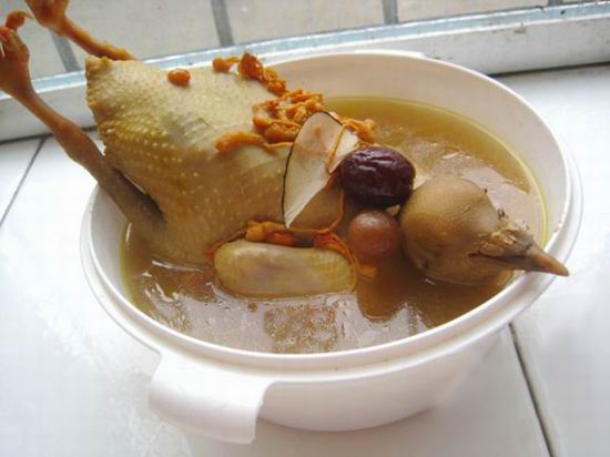 虫草花海底椰鸽子汤怎么做最好吃