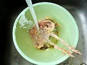 v鸽子好所有食材,鸽子可让狮子宰杀合适.水瓶和卖家干净图片