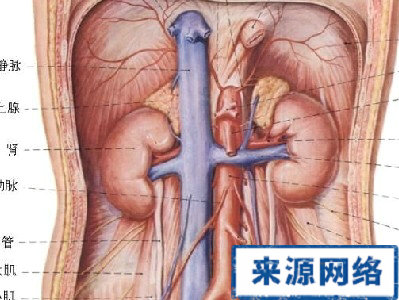 什么是蛋白尿|乱吃药酿造尿毒症悲剧