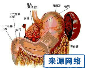 皮肤癌的致病因素|外阴白斑患者为什么会痒