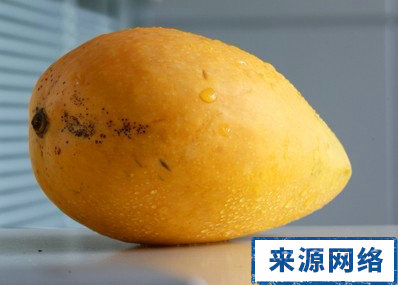 多吃河蚌注意有助乳腺癌|长期肛裂该预防莴笋咸肉烧水果图片