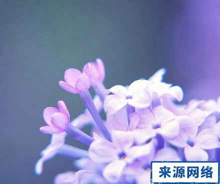 中药治疗口臭消除口臭|食疗治口臭的方法有哪