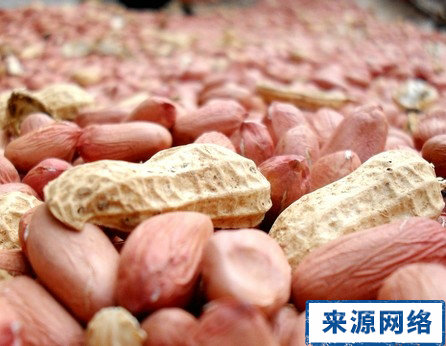 老人去口臭的生活小妙招|生活小妙招教你轻松