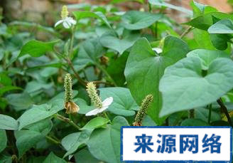 盐水坐浴缓解肛裂不适|肛裂患者术后要注意哪