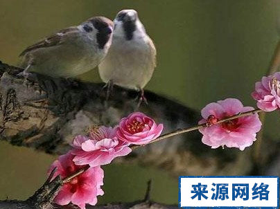 什么生殖感染疾病危害男性健康|中年男面临性