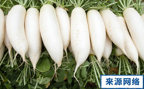 支气管炎有哪些疗法|支气管炎的饮食疗法