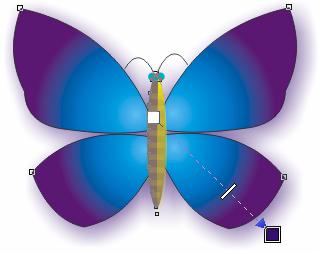 CorelDRAW实例教程：形状编辑与交互式设置绘制花蝴蝶_中国