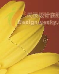 Photoshop基础教程：CS3快速选择工具应用实例_中国