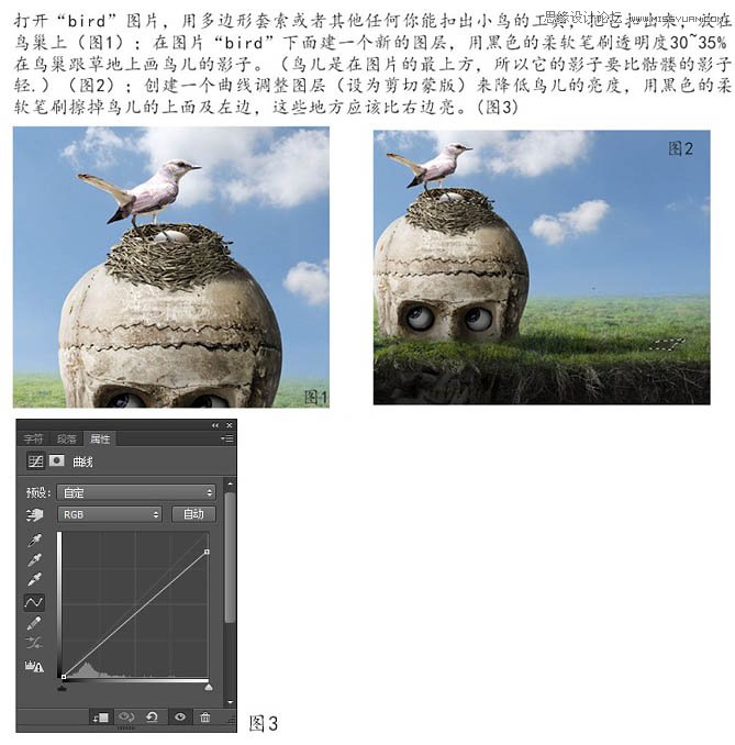 Photoshop合成创意的骷髅头和鸟窝效果图,PS教程,图老师教程网