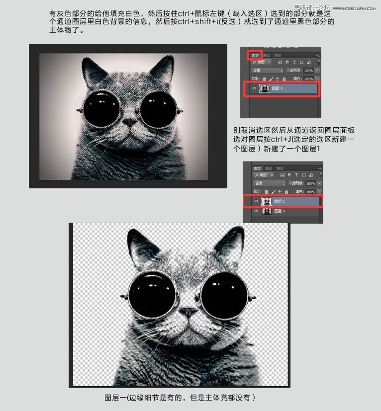 Photoshop巧用通道给猫咪图片抠图,PS教程,图老师教程网