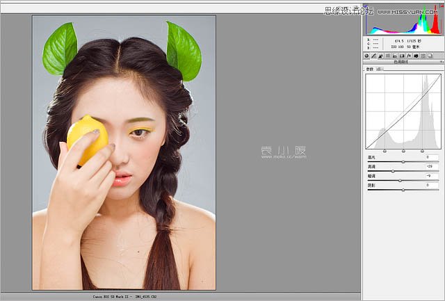 Photoshop结合CR给人像添加美丽彩妆,PS教程,图老师教程网