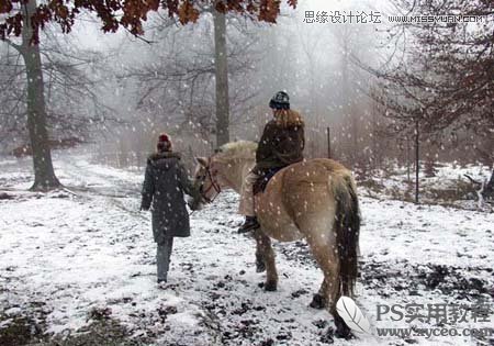 Photoshop使用滤镜模拟雪花飘飞景色,PS教程,图老师教程网