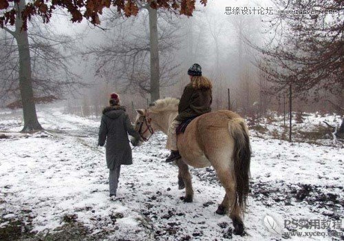 Photoshop使用滤镜模拟雪花飘飞景色,PS教程,图老师教程网