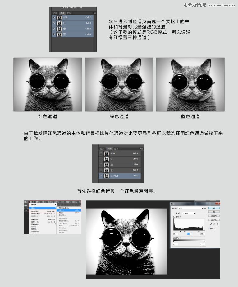 Photoshop巧用通道给猫咪图片抠图,PS教程,图老师教程网