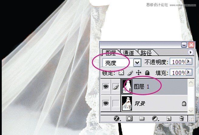 Photoshop完美抠出穿婚纱的新娘照片,PS教程,图老师教程网