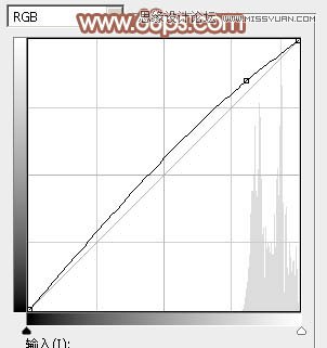 Photoshop调出人像照片朦胧暖色效果,PS教程,图老师教程网