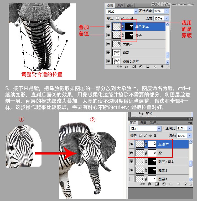 Photoshop合成给斑马照片添加大象脸,PS教程,图老师教程网