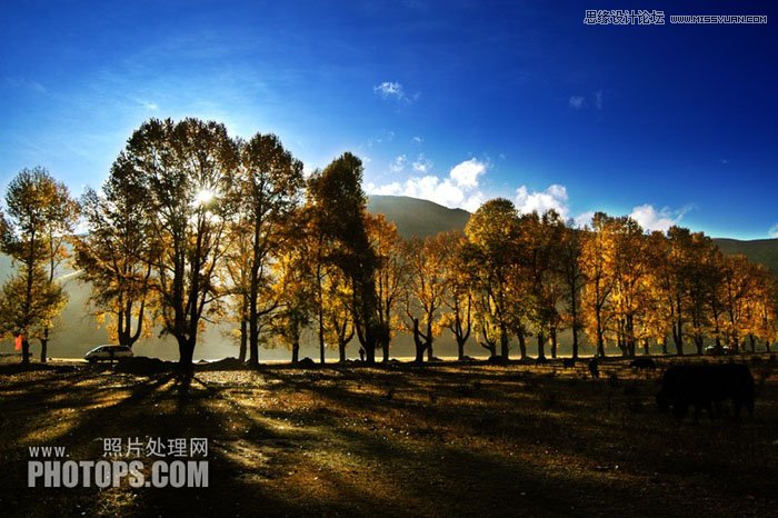 Photoshop使用通道还原美丽的森林风景图,PS教程,图老师教程网