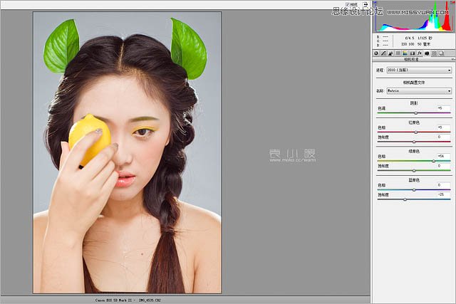 Photoshop结合CR给人像添加美丽彩妆,PS教程,图老师教程网