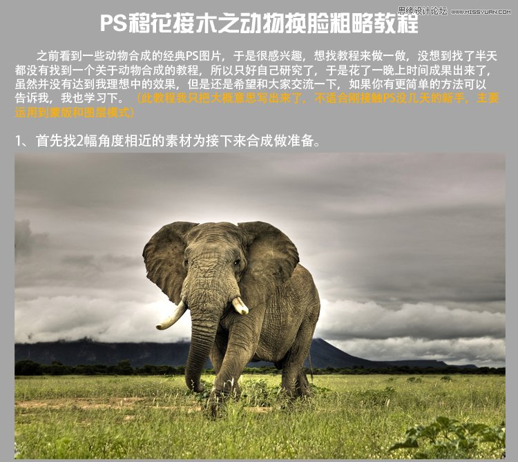 Photoshop合成给斑马照片添加大象脸,PS教程,图老师教程网