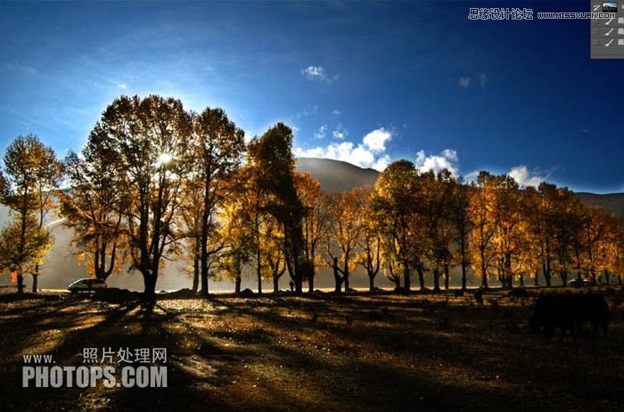 Photoshop使用通道还原美丽的森林风景图,PS教程,图老师教程网