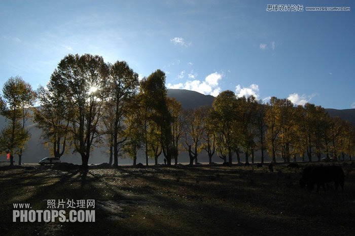 Photoshop使用通道还原美丽的森林风景图,PS教程,图老师教程网