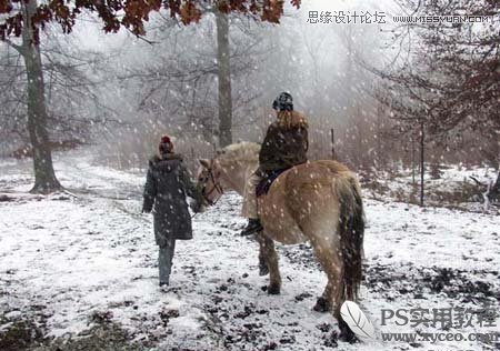 Photoshop使用滤镜模拟雪花飘飞景色,PS教程,图老师教程网