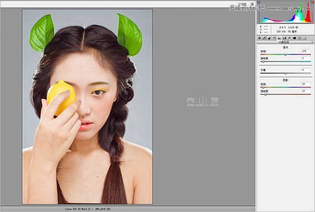 Photoshop结合CR给人像添加美丽彩妆,PS教程,图老师教程网