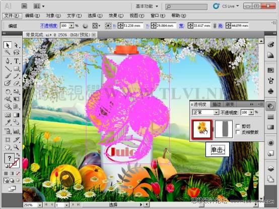 Illustrator CS5教程：通过蒙版功能制作饮料海报,PS教程,图老师教程网