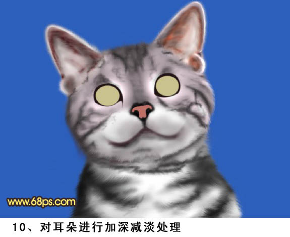 Photoshop绘制真实的猫咪教程,PS教程,图老师教程网