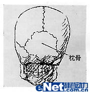 Maya建模教程：人头建模的详细教程,PS教程,图老师教程网