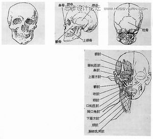 Maya建模教程：人头建模的详细教程,PS教程,图老师教程网