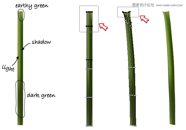 Illustrator绘制时尚唯美的玫瑰花和花屏,PS教程,图老师教程网