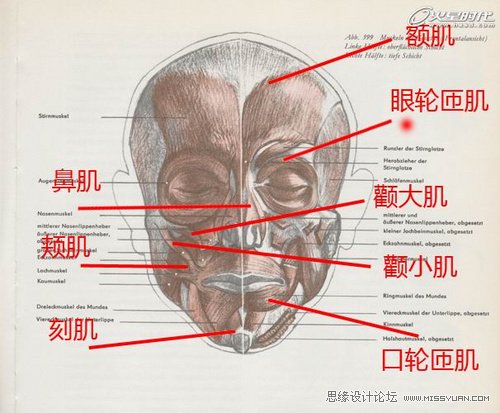 ZBrush教程：夸张写实人头《爆牙》雕刻,PS教程,图老师教程网