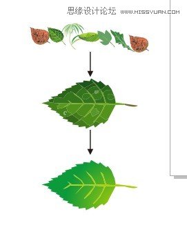 CorelDRAW解析网状填充运用教程,PS教程,图老师教程网