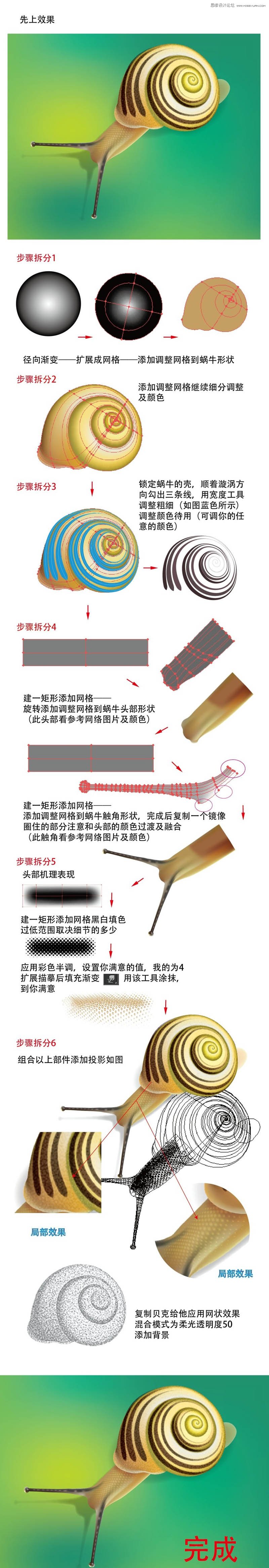 Illustrator绘制立体风格的蜗牛效果图,PS教程,图老师教程网