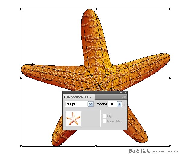 Illustrator绘制立体真实的海星教程,PS教程,图老师教程网
