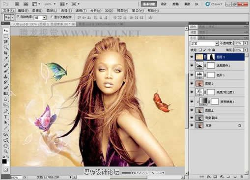 Photoshop CS5中的色调功能使用技巧,PS教程,图老师教程网