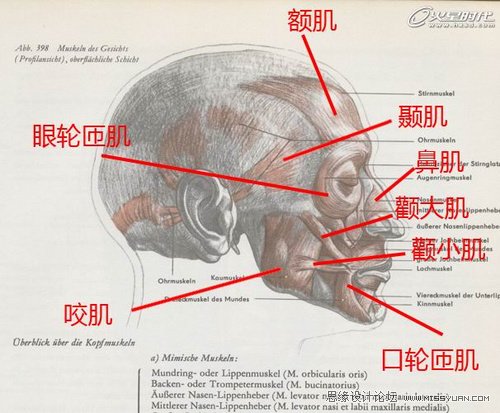 ZBrush教程：夸张写实人头《爆牙》雕刻,PS教程,图老师教程网