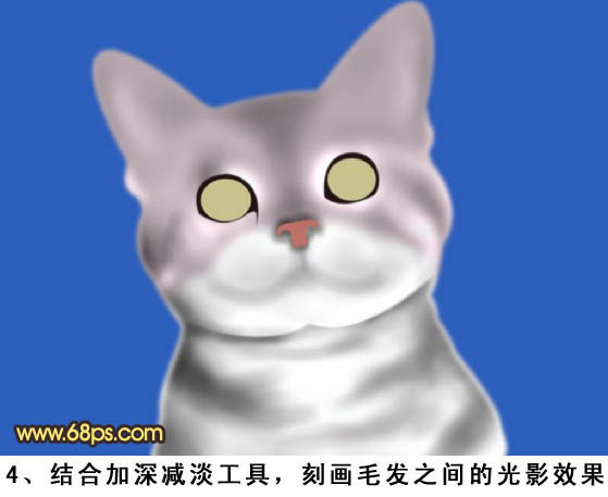 Photoshop绘制真实的猫咪教程,PS教程,图老师教程网