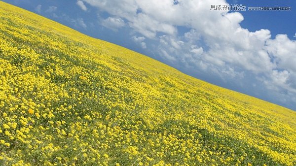 摄影大师教您揭秘摄影构图的3个作用,PS教程,图老师教程网