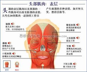 Maya建模教程：人头建模的详细教程,PS教程,图老师教程网