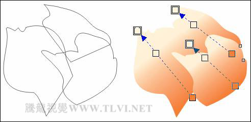 CorelDRAW绘制人物工笔画美女人物教程,PS教程,图老师教程网