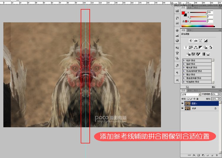 Photoshop合成创意另类的大公鸡,PS教程,图老师教程网