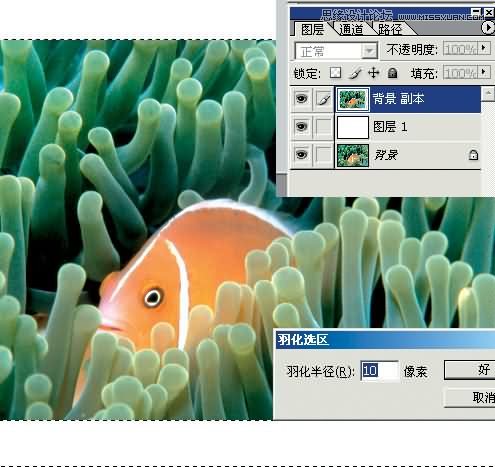 Photoshop制作漂亮的另列邮票效果,PS教程,图老师教程网