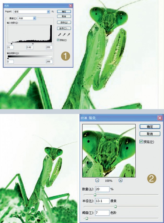 Photoshop给摄影中的螳螂做后期修饰,PS教程,图老师教程网